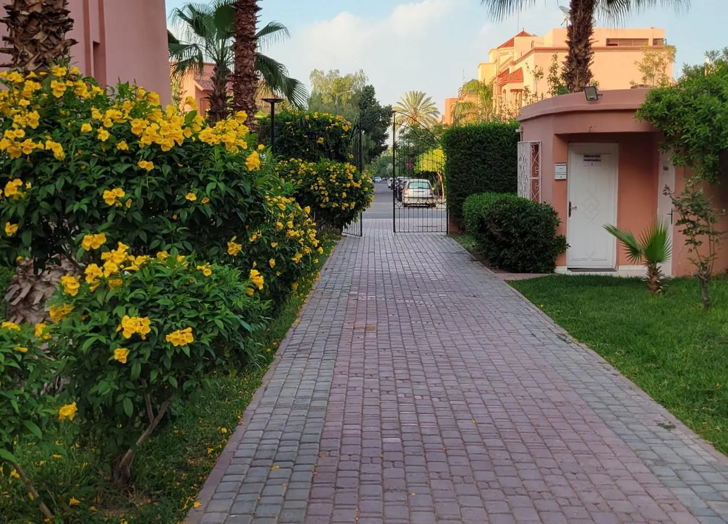Majorelle 2 Olivier Marrakesh 0*,
