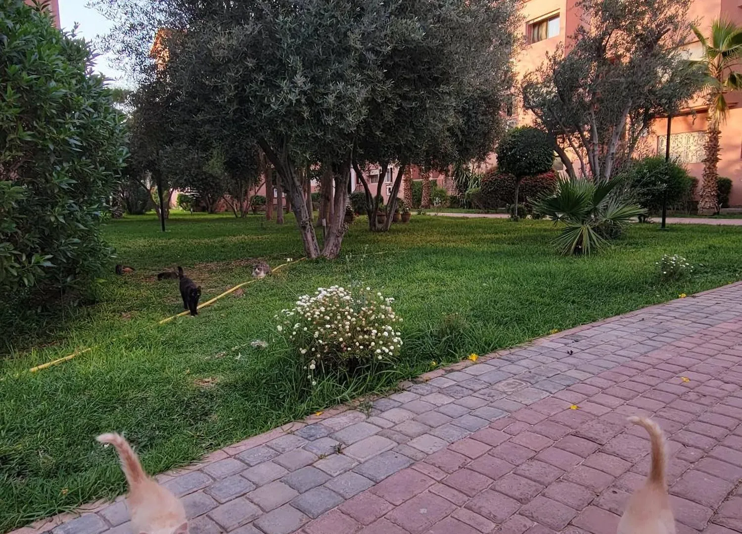 Residence Majorelle 2 - Appartement Spacieux 2 Chambres & Piscine Marrakesh